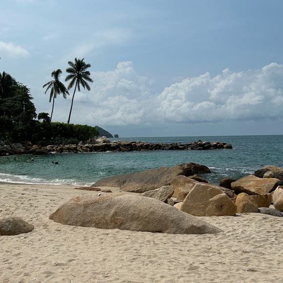 Meet the Posher, 4salebyMaggie - Picture 3 of 9